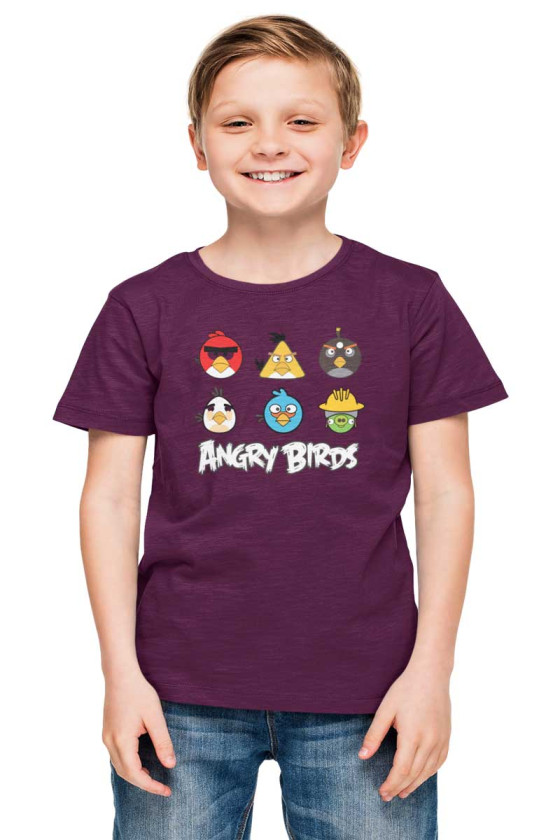 ANGRY BIRDS COTTON T-SHIRT